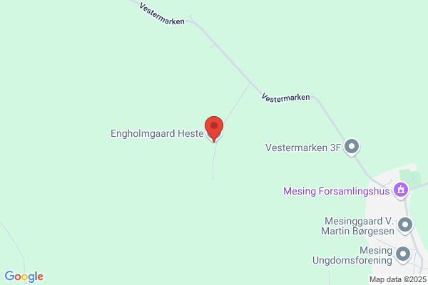 Gaardahl Heste Eksp. og Imp. ApS