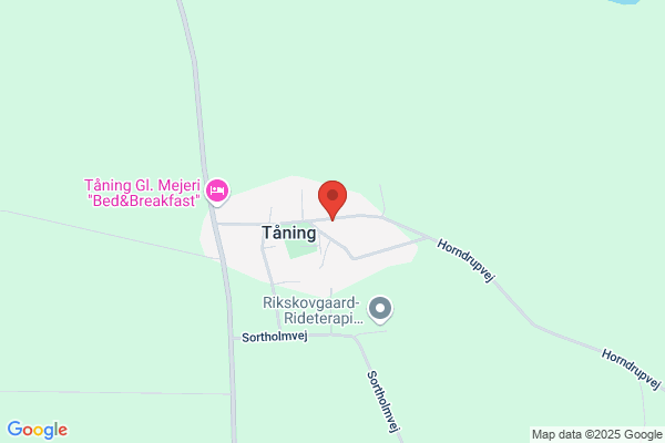 Tåning sogns menighedsråd