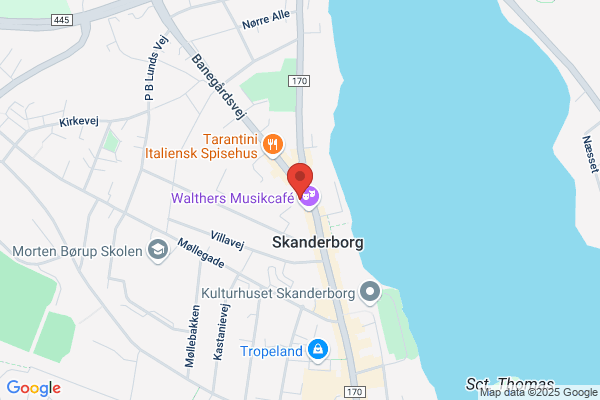 Skanderborg Realskole