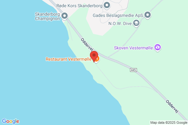 Det danske Spejderkorps - Skanderborg Gruppe