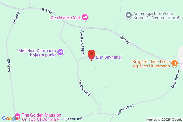 Ejer Bavnehøj Hallen
