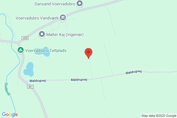 Haurum, Hans