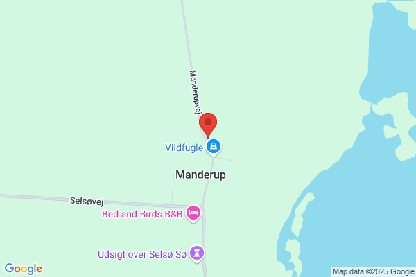 Ældre Sagen