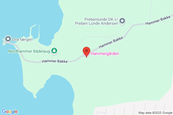 Hammervang