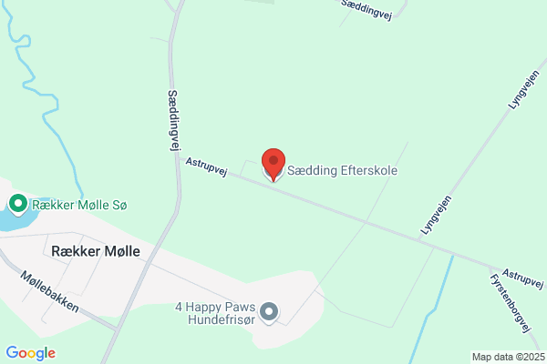 Sædding Efterskole