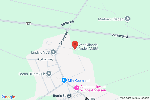 Skjern Å Andel