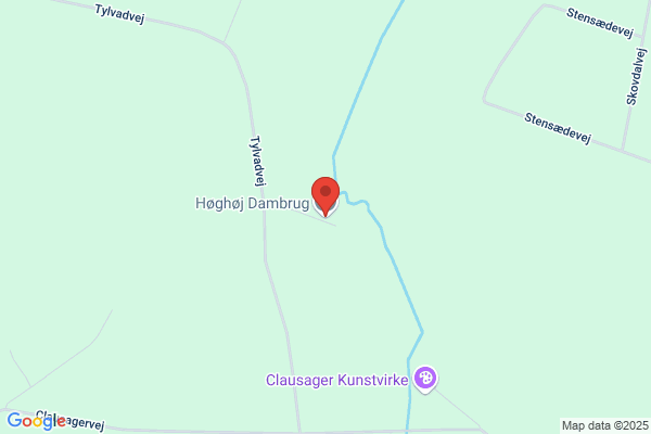 Dam, Henning