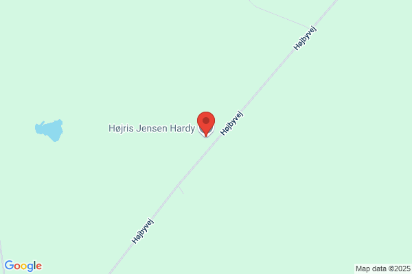 Hardy Højris Jensen