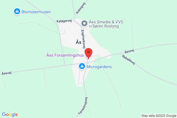 Aaes, Frithjoff