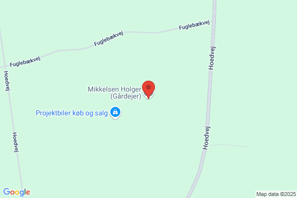 Mikkelsen, Holger