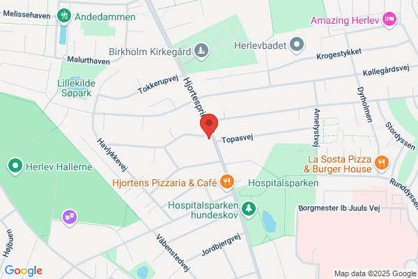 Hyldeblomsten Børneinstitution