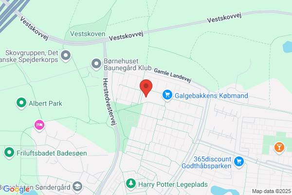 Bakkens Hjerte