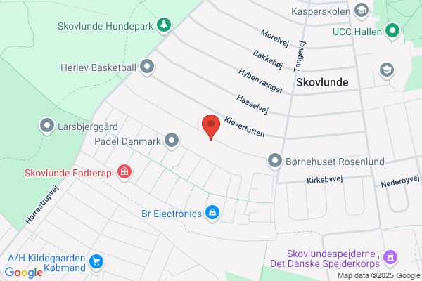 Pædagogisk Center Lise B Hansen