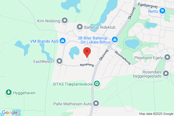 Maleren Der Dækker Danmark