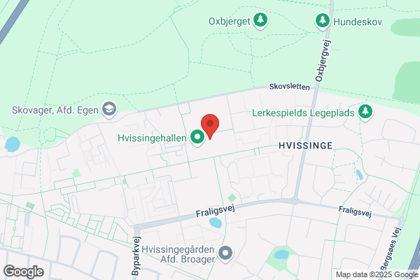 Skovvangskolen