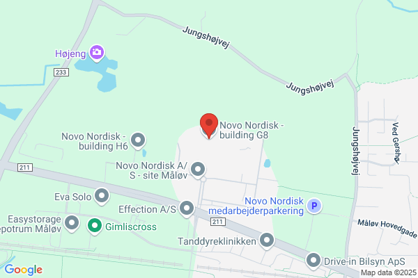 Novo Nordisk IT A/S
