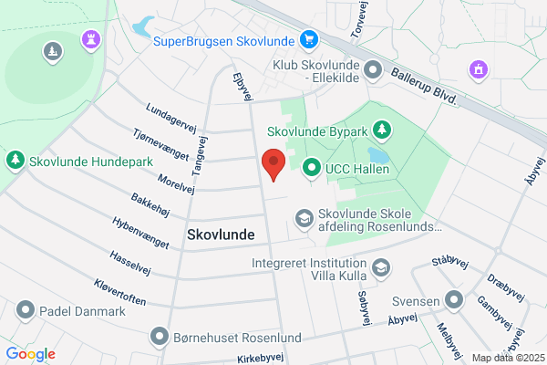 Gladsaxe Tai Chi