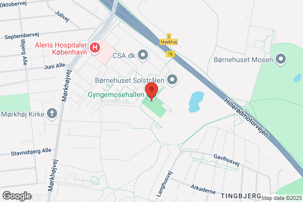 Gyngemosebowlerne