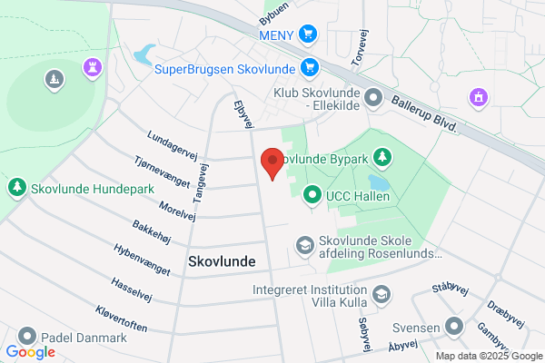 Højagerskolen Viceinspektør