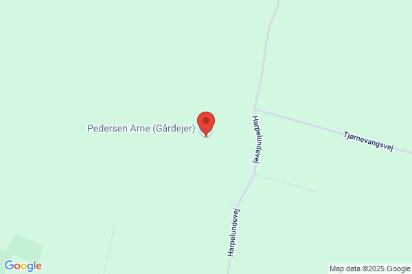 Petersen, Arne