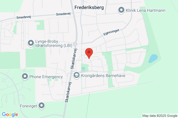 Fremskridtspartiet i Skælskør