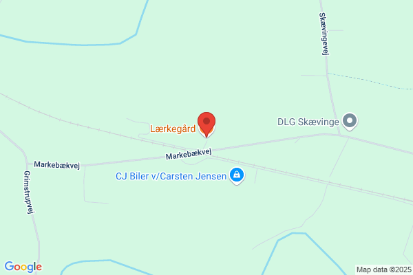 Larsen