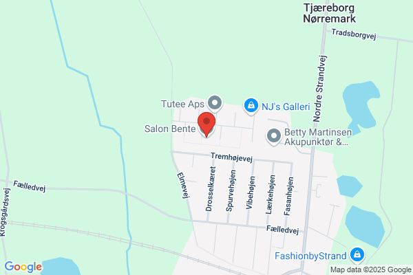 Bente, Salon