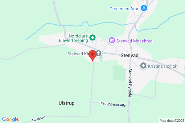 Ersted, Hanne