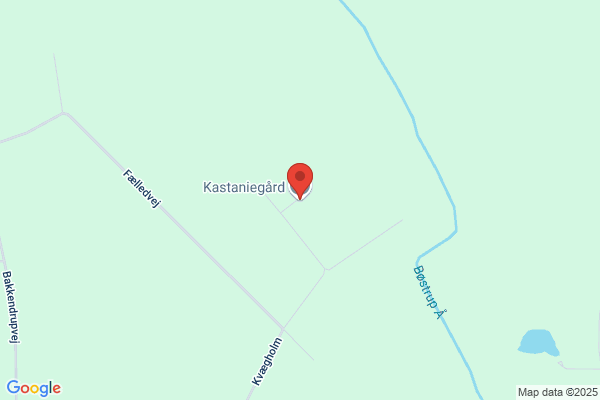 Kastanie Salonen