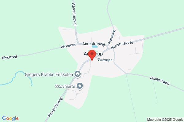 Danske Spejderkorps Aarestrup gruppe, Det