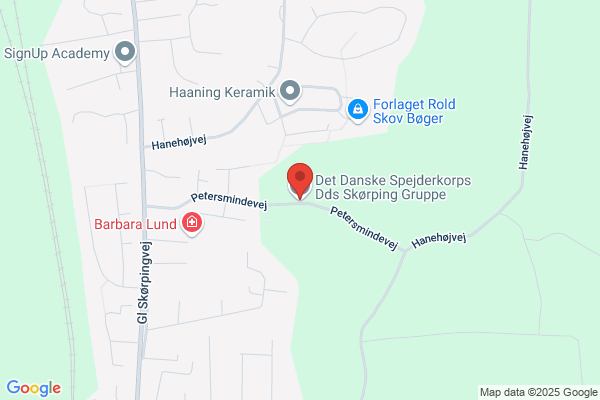 Det Danske Spejderkorps - Skørping gruppe