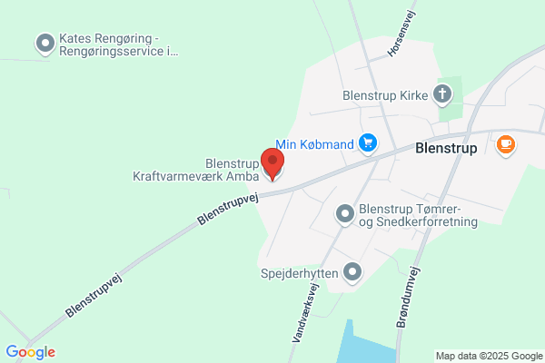 Blenstrup Kraftvarmeværk A.m.b.a