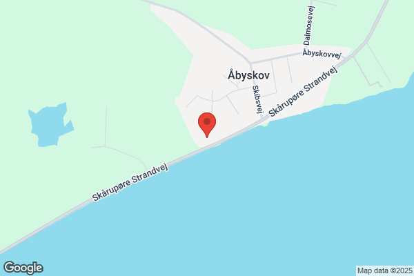 Sydfyns Fodklinik