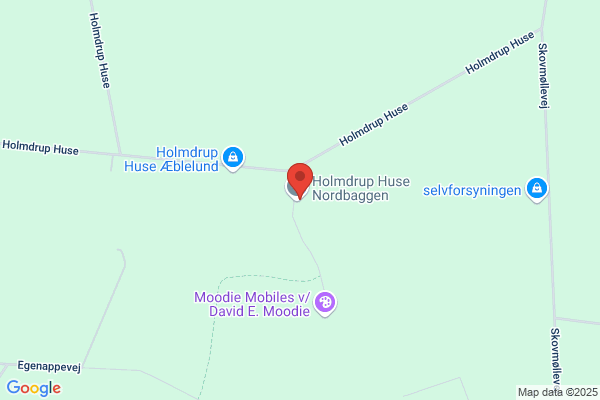 Sydfyns Heste & Prærievognsudlejning