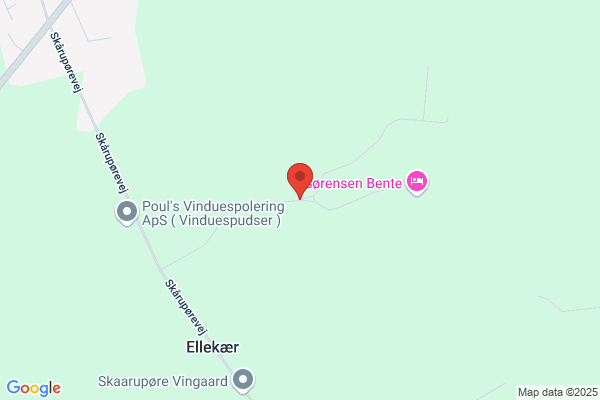 Skårup Tagdækning