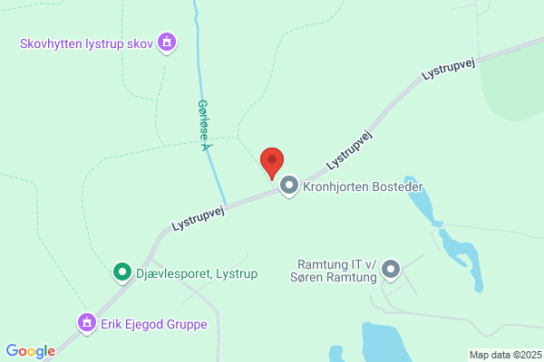 Ældrerådet