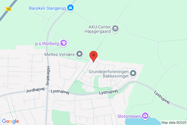 Michael Rosenfjeld