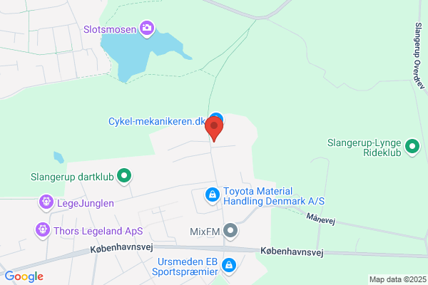 Danteknik
