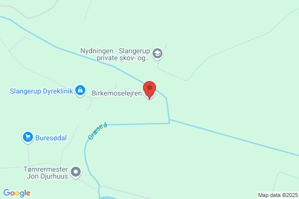 Birkemoselejren