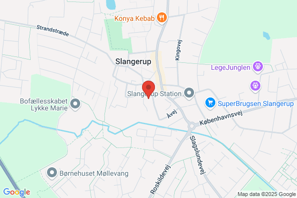 Slangerup Bio's Venner