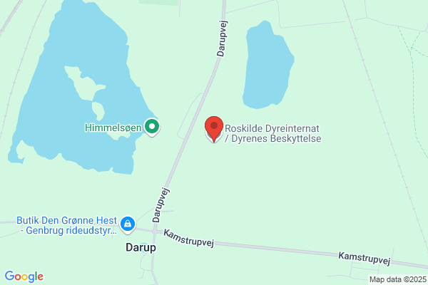 Dyrenes Beskyttelse, Foreningen til