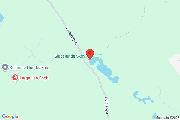 Skovsognets Vandværk