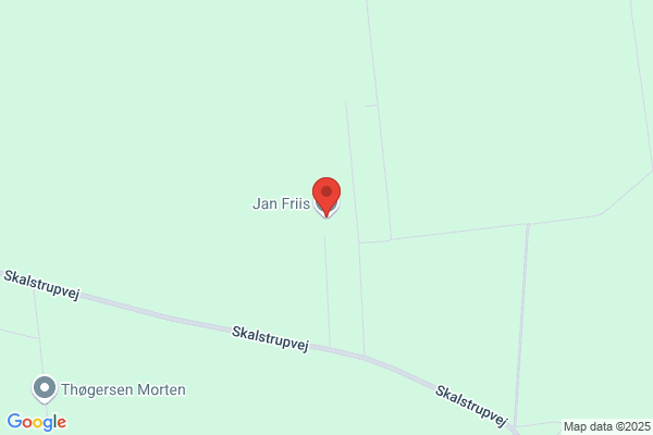 Friis Jan Regnskabsservice