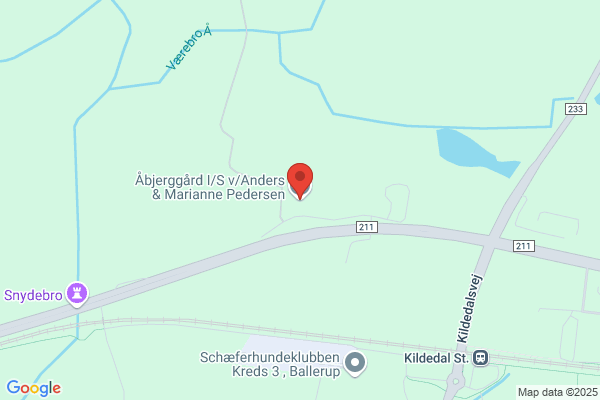 Pedersen, Niels-Ebbe Damgaard