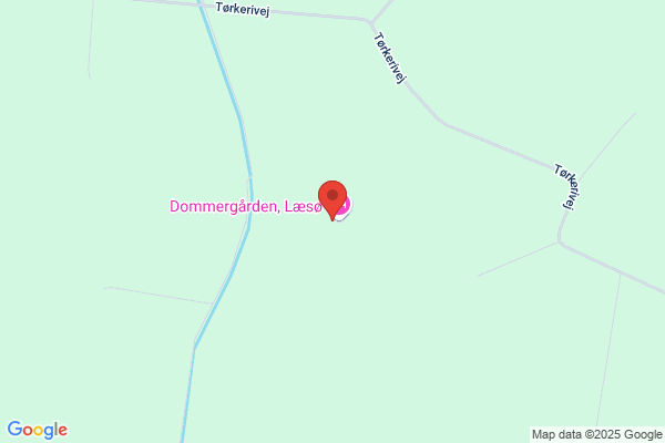 Pedersen A/S, Willy H