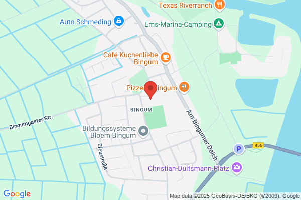 BIF - fodbold