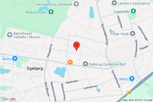 Ballerup Kran & Container Service ApS