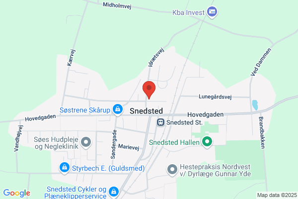 Snedsted Håndværker- og Borgerforening