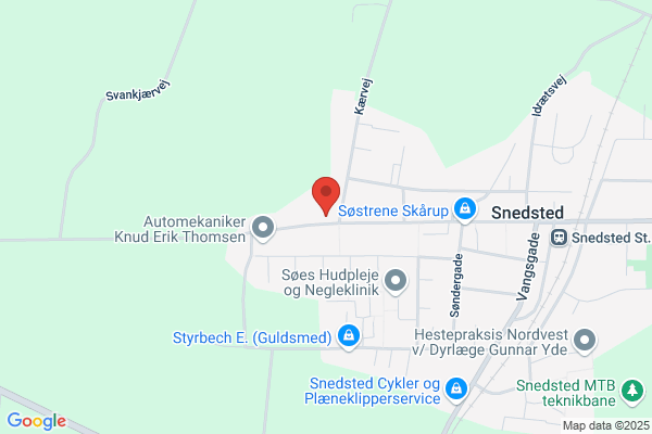 Snedsted Skytteforening