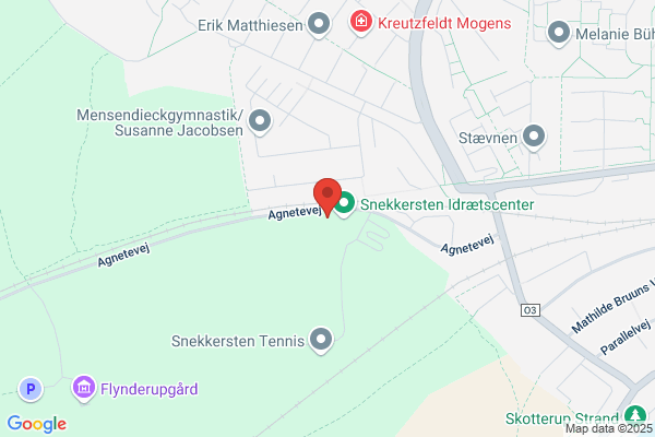 Helsingør Idrætsforening, Gymnastik